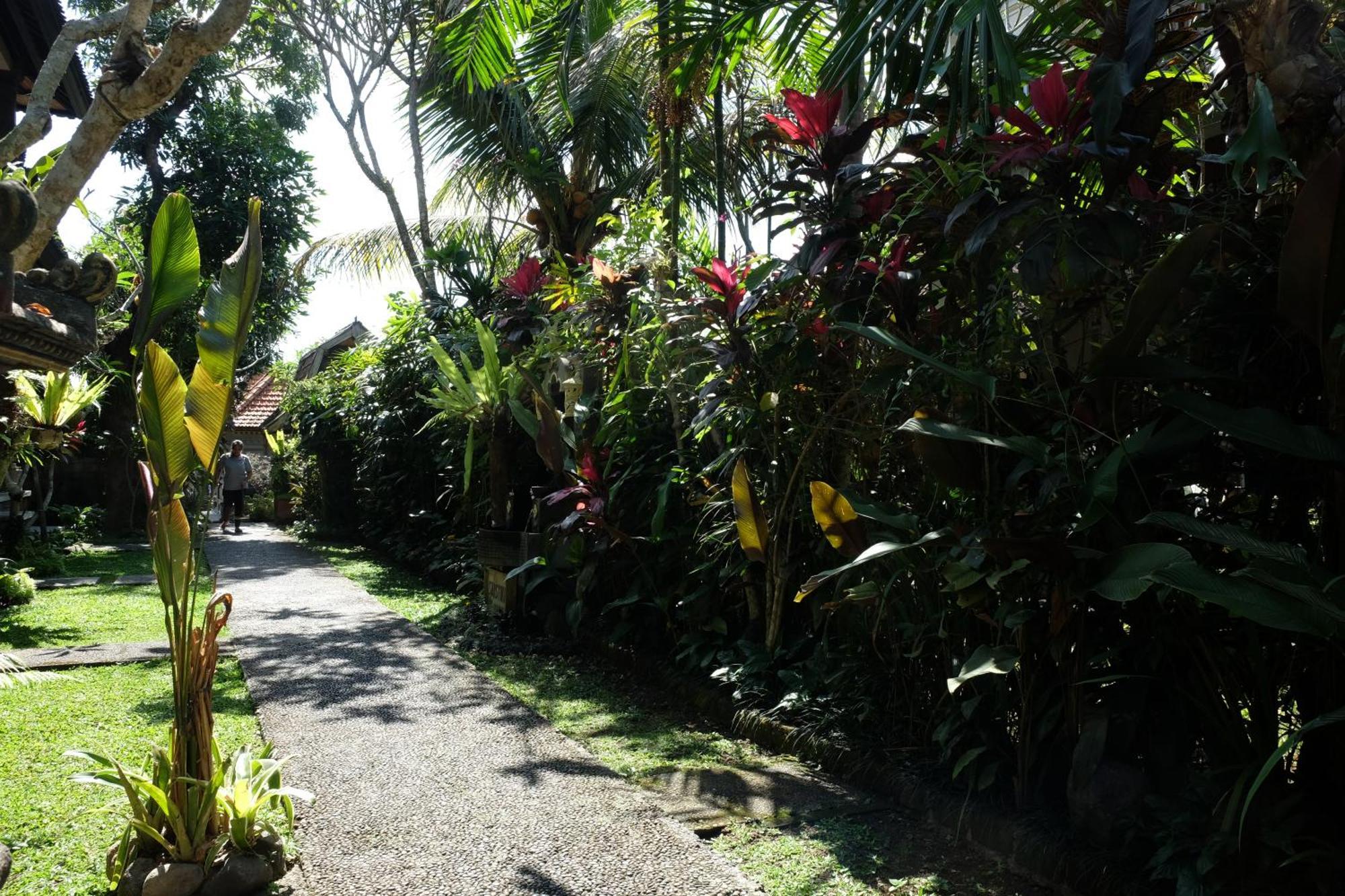 Suastika Guest House Ubud Εξωτερικό φωτογραφία