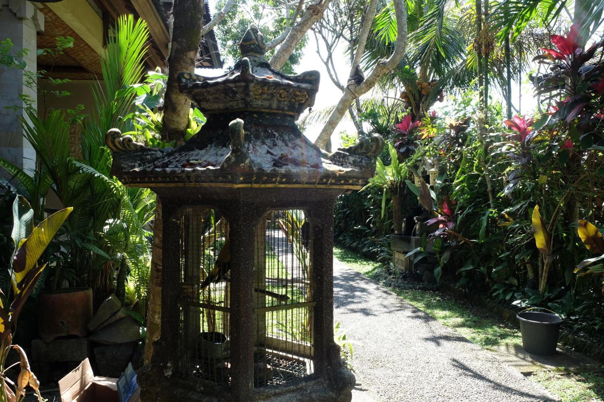 Suastika Guest House Ubud Εξωτερικό φωτογραφία